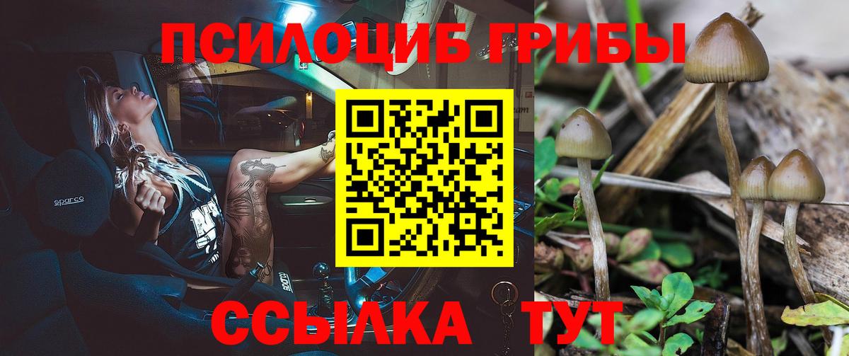 Псилоцибиновые грибы мицелий Рубцовск